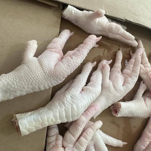 Chicken Feet & Paws_img2